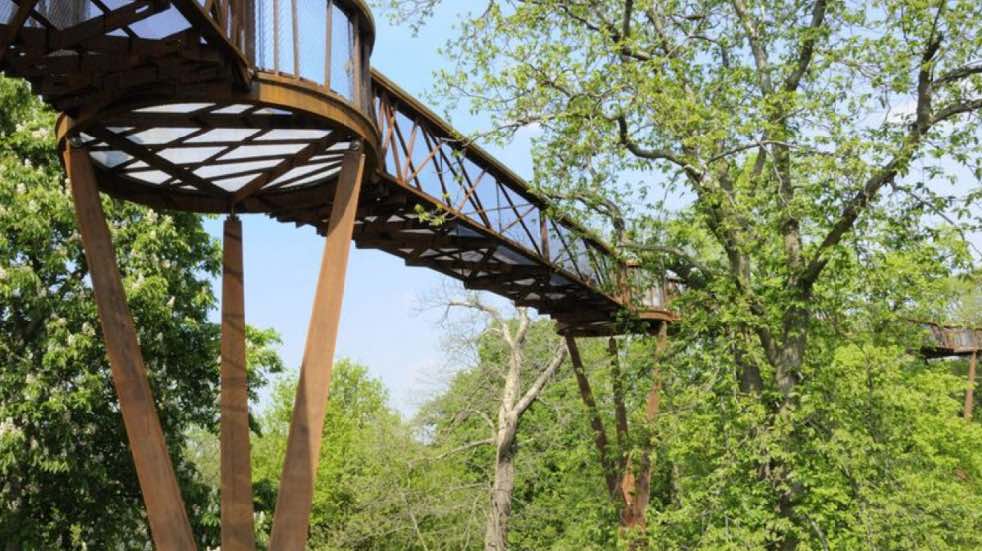 Treetop Walkway at Kew Gardens